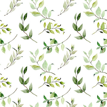 Seamless pattern of watercolor greenery branches, illustration on a white background