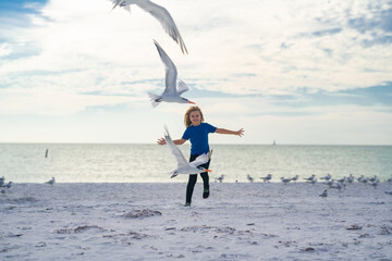 Carefree child. Kid boy chasing birds near summer sea beach. Happy child playing with seagull birds outside on summer day.