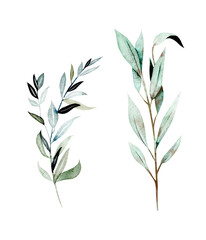Set of watercolor greenery branches, botanical elements isolated on white background