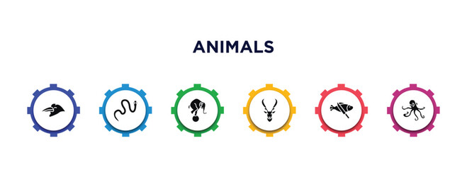 animals filled icons with infographic template. glyph icons such as crow, cottonmouth, elephant on a ball, elk, fish and a knife, aquarium octopus vector.