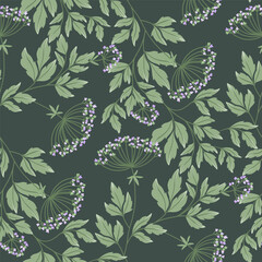 Seamless pattern wild herbs on deep green.