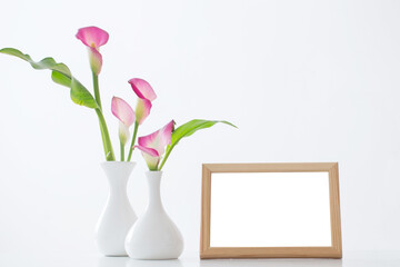 frame and pink calla lily in vase  on white background