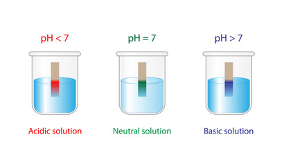 PH indicator. Acidic, neutral, basic solutions. Color change of indicator paper to red for acids, to blue for bases and to green for neutral solution. Vector scientific design.