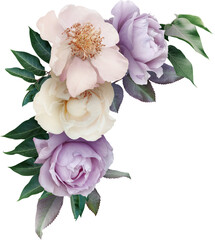 Bouquet of soft lilac roses and peony isolated on a transparent background. Png file.  Corner floral arrangement. . Can be used for invitations, greeting, wedding card.