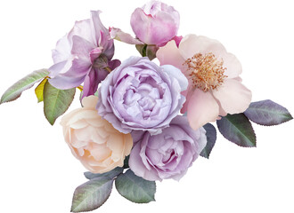 Bouquet of soft lilac and white roses isolated on a transparent background. Png file.  Floral arrangement. . Can be used for invitations, greeting, wedding card.