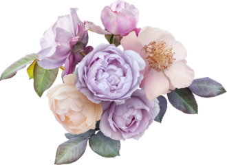 Bouquet of soft lilac and white roses isolated on a transparent background. Png file.  Floral arrangement. . Can be used for invitations, greeting, wedding card.