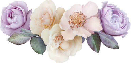 Bouquet of soft lilac and white roses isolated on a transparent background. Png file.  Floral arrangement. . Can be used for invitations, greeting, wedding card.