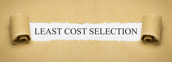 Least Cost Selection