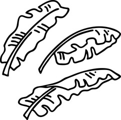 Banana leaves decorative vector elements for banner design, greeting card, holiday poster. Hand drawn illustration, botanical summer vacation theme. Nature ecological, romantic garden. relaxing spa.