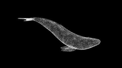 3D whale on black bg. Object dissolved white flickering particles. Business advertising backdrop. Science concept. For title, text, presentation. 3D animation © Oksana