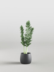 Single house plant in white studio. Isolated decotrative potted plant. 3d rendering