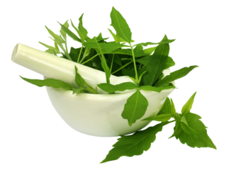 Medicinal Nishinda leaves with mortar and pestle