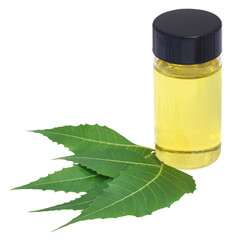 Medicinal neem extract with fruits and leaves