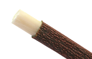 Medicinal neem twigs
