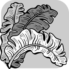 Obraz premium Banana leaves decorative vector elements for banner design, greeting card, holiday poster. Hand drawn illustration, botanical summer vacation theme. Nature ecological, romantic garden. relaxing spa.