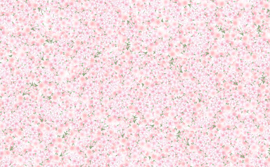 一面の満開の桜　やや小さめ