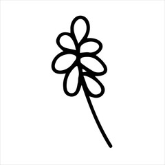 Branch with leaves. Black and white sketch, logo, clipart, icon, template. Botanical vector illustration, hand-drawn. Isolated object on a white background.