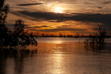 Menindee Australia, sunset of lake with submerged trees at dusk