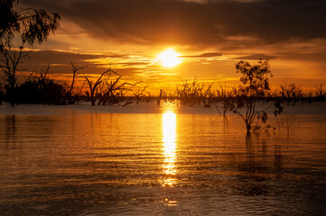 Menindee Australia, sunset of lake with submerged trees