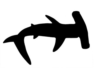 silhouette of a shark