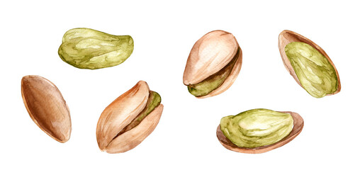 Pistachios. Set of watercolor hand drawn illustrations
