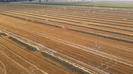 Paweł Urbański © Paweł Hobbytycznie