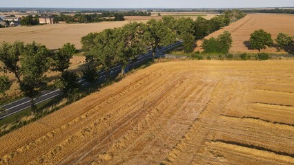 Paweł Urbański © Paweł Hobbytycznie