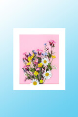 Wild flower posy abstract picture frame on pink background. Minimal abstract border on gradient blue. Beautiful Spring nature composition for Mothers Day, Easter, birthday. 