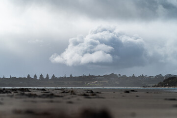 beautiful beach in australia in summer, swimming in the ocean