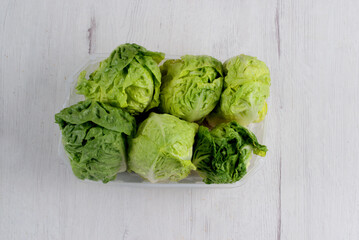 Basket with fresh buds isolated