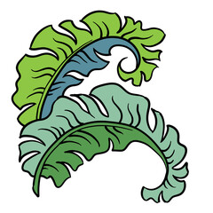 Banana leaves decorative elements for banner design, greeting card, holiday poster. Hand drawn illustration, botanical summer vacation theme. Nature ecological, romantic garden. relaxing spa.