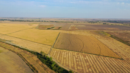 Fototapeta na wymiar Aerial top view photo from flying drone of a land with yellow fields in countryside in autumn day.