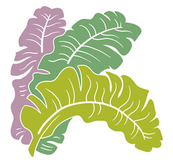 Banana leaves decorative elements for banner design, greeting card, holiday poster. Hand drawn illustration, botanical summer vacation theme. Nature ecological, romantic garden. relaxing spa.