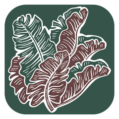 Banana leaves decorative elements for banner design, greeting card, holiday poster. Hand drawn illustration, botanical summer vacation theme. Nature ecological, romantic garden. relaxing spa.