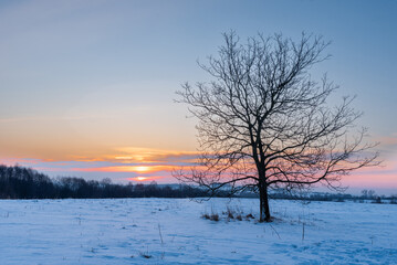 Fototapeta na wymiar Winter Sunrise