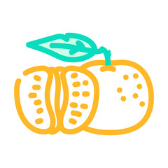 cut tangerine leaf color icon vector illustration