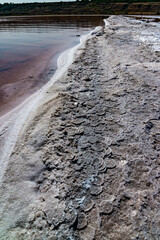 The shore of the Kuyalnitsky estuary, which became shallow during a drought, covered with crystals of self-sedimentary table salt, an ecological disaster