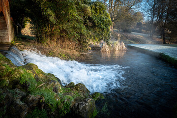 Kearsney Abbey Gardens © Mariusz