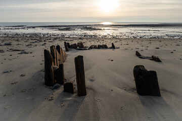 falochron na piachu ,dzika plaża Folkestone