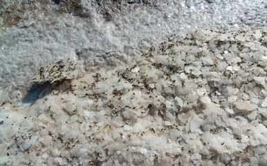 Crystals of self-sedimentary salt in the form of rounded formations in the hypersaline Kuyalnitsky estuary, an ecological disaster