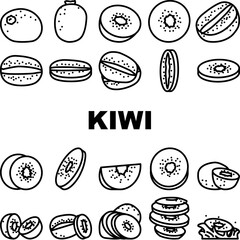 kiwi food green fresh icons set vector
