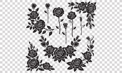 Rose flowers vector pack - Free rose vector - obrazy, fototapety, plakaty