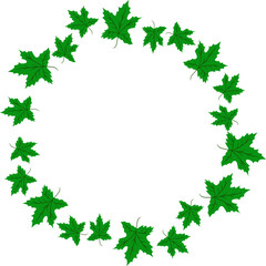 Maple leaf illustration. Maple leaf decoration 