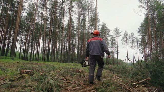 Backside view of an axeman walking among the trees