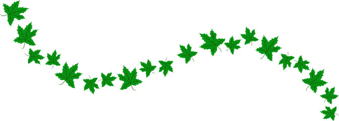 Fototapeta premium Maple leaf illustration. Maple leaf decoration 
