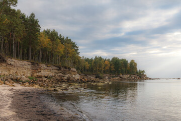 Obraz premium The Baltic Sea coast with forest on the top of cliff, moody weather