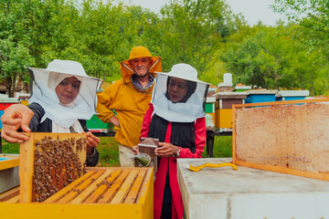 Business partners with an experienced senior beekeeper checking the quality and production of honey at a large bee farm