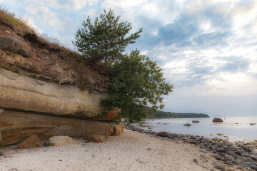 The Baltic Sea coast with forest on the top of cliff, moody weather