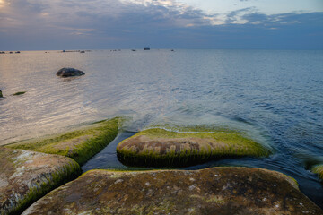 Beauty sea rocky coast with green moss on the stones. Blue hour time.