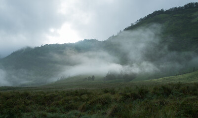 morning fog green slope
